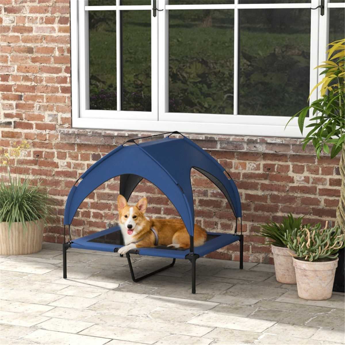 Canopy Pet Bed